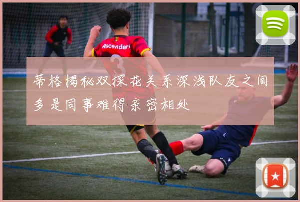 蒂格揭秘双探花关系深浅队友之间多是同事难得亲密相处